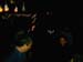 IMAG0022