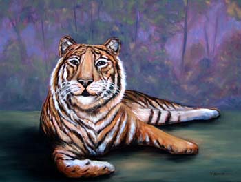 A-Resting Tiger_3