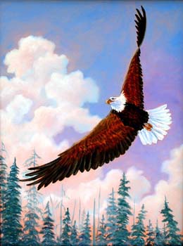 An Eagle in Flight