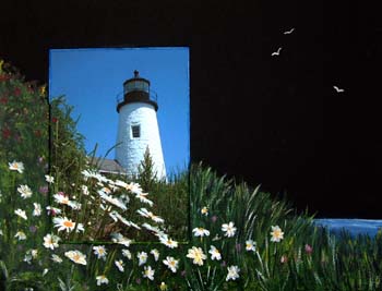 Pemaquid & Daisies paintograpgy_13
