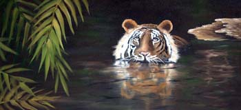Tiger_22