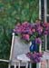 B-Lilacs