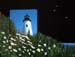 Pemaquid & Daisies paintograpgy_13