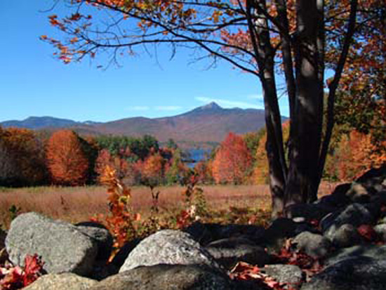 Chocorua Foliage