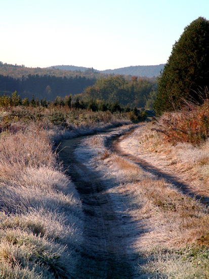 Fryeburg Frosty Field 2003