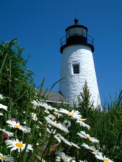 Pemaquid Class Daiy & Lighthouse