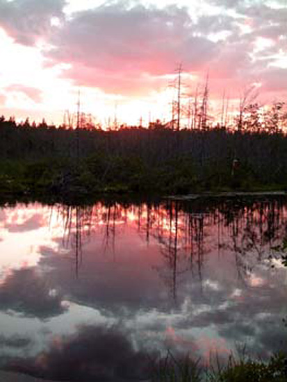 Pemaquid Class bog sunset