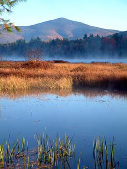 Puddin Pond_3