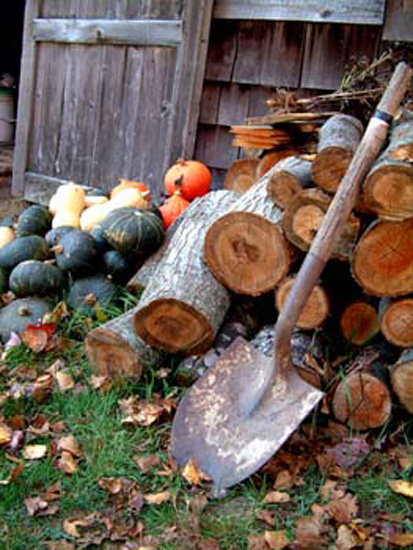 a- Tibbetts woodpile & shovel_2