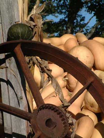 a- Wheel-&-Squash