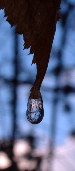 icedroplet long view