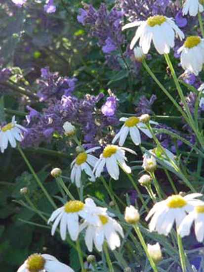 pics from laptop 037_2