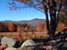 Chocorua Foliage