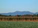 Fryeburg Fields & Chocorua Fall_8