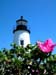 Pemaquid Class Rose and lighthouse