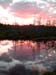 Pemaquid Class bog sunset