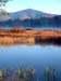 Puddin Pond_3