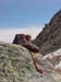 Tuckerman's Ravine 072