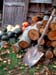 a- Tibbetts woodpile & shovel_2