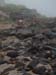 monhegan 2003 007