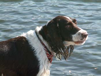 DSCF1588.jpg